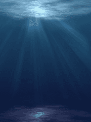 펠스터 x 텔스터