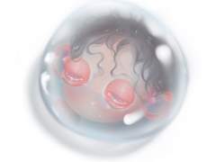 그림 <그림일기>