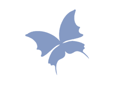 프시케 솜도안 커미션