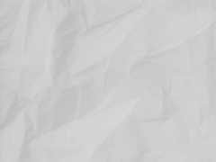 크리스마스 이벤트