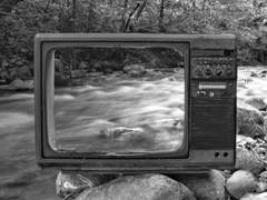 백일몽의 번아웃