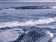 친애하는 모노께