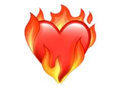 김데 지인제 커미션