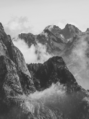 [희신강징] 자운紫雲