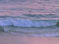 당신을 기다리는 밤은