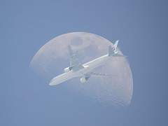 버려진 세계의 방랑자 1