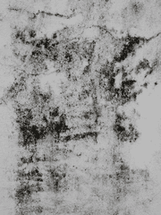 스트리머/유튜버