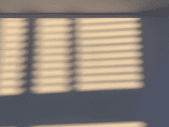 20세기 말의 끝사랑