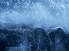 친애하는 소피아께