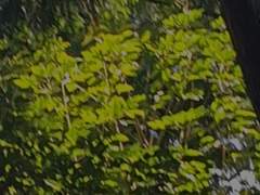 Fragile mouth with saddened words