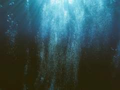 [민초허브] 잠자는 호수의 인어