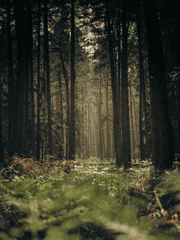 yayay님 플동부잔혹동화 연재본