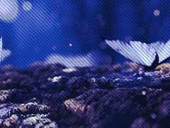 Do not turn back when you are just at the goal