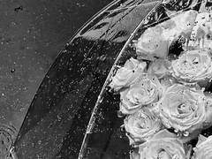 보고싶은 당신에게 전하지 못하는 글