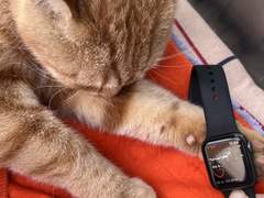 여러분들의 사랑은 무엇으로 완성되나요?