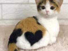 재규어수인 정국 짝사랑하는 지민 썰 02