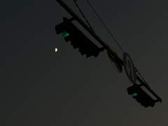 천지는 꿈인 양 이리 고요하다