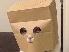 안녕하세요! 웹툰 그리게될 09년생임니닿!