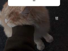 ✎ ♡̷̷̷ Ꙭ̫ ⛧彡