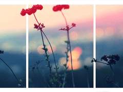 아름답고도, 아름다운 이여.