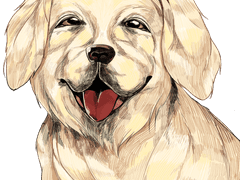 2203-2204 | UD프로 동물 의약품