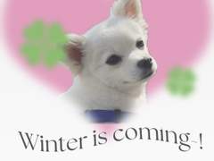 Winter is coming-!