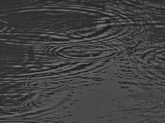 [백천청명]사이좋게 ■는 길