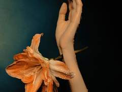 내가 나비라는 생각 *