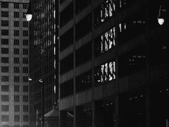 개새끼들은 죽어서 지옥에 가다