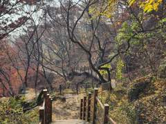 동장군을 맞이한 가을 막바지...