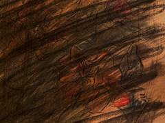 사랑은 돌연변이 혹은 신비루였다