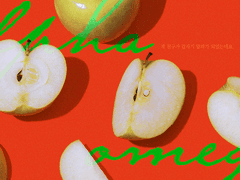 제 친구가 갑자기