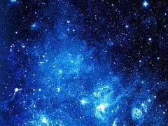 푸른 대지의 싹 하나