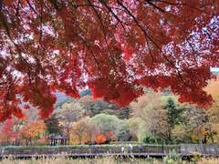 신이 만든 가을에