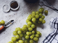 [알파라하] 당신의 여정으로부터