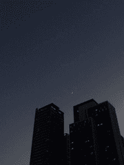 인류멸망보고서