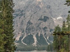 장강돌고래에 대한 단상(斷想)과 녹림의 존속에 대하여
