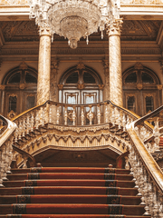 개망나니 황태자 옆자리는 마약 공주 공녀님