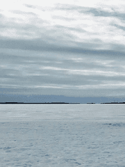 대니팬텀 트레틀부빈거