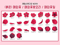 [클튜브러쉬] 홍매화 (매화꽃 / 봉오리 / 꽃잎 / 원경)