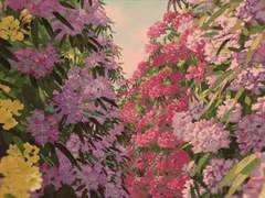 『 달리아의 꽃 말은 … 』