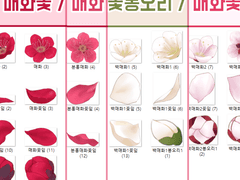 [클튜브러쉬] 매화 4종 통합 / 꽃 / 봉오리 / 꽃잎 / 원경