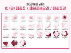 [클튜브러쉬] 백매화② (매화꽃 / 봉오리 / 꽃잎)
