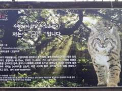 하이큐 드림 카톡 [57]