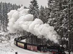 여러 등불이 모여.