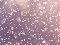 큰 힘이 되어주지 못한 자신이라