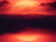 Venator : 혼란스러운 도시 00