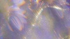 아이리스 과거로그