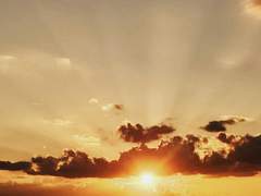 [퍼잭 드림글] 리 플레처와 그의 친구