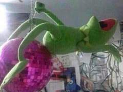 더러운물이 많은 사랑을 받고 있습니다